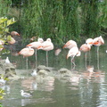DSC00918